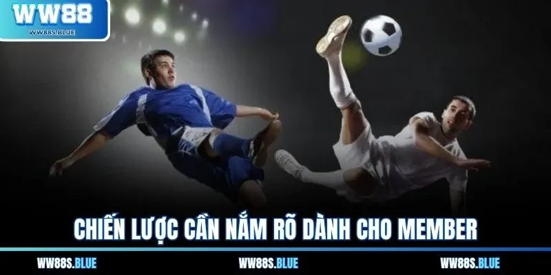 Chiến lược cần nắm rõ dành cho member