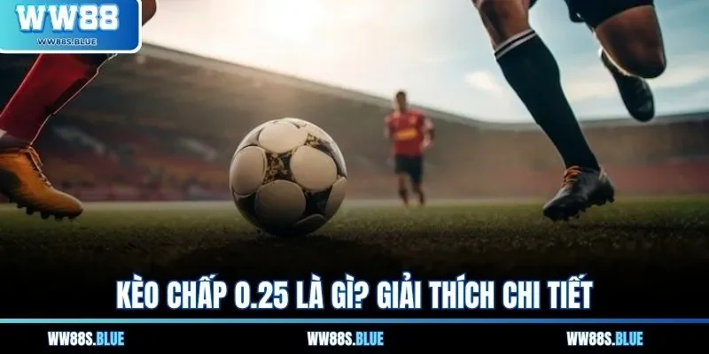 Kèo Chấp 0.25 Là Gì? Cẩm Nang Giải Đáp Chi Tiết Từ A Đến Z 1 Kèo chấp 0.25 là gì? Giải thích chi tiết