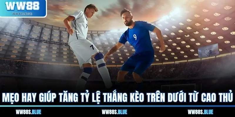 Mẹo hay giúp tăng tỷ lệ thắng kèo trên dưới từ cao thủ