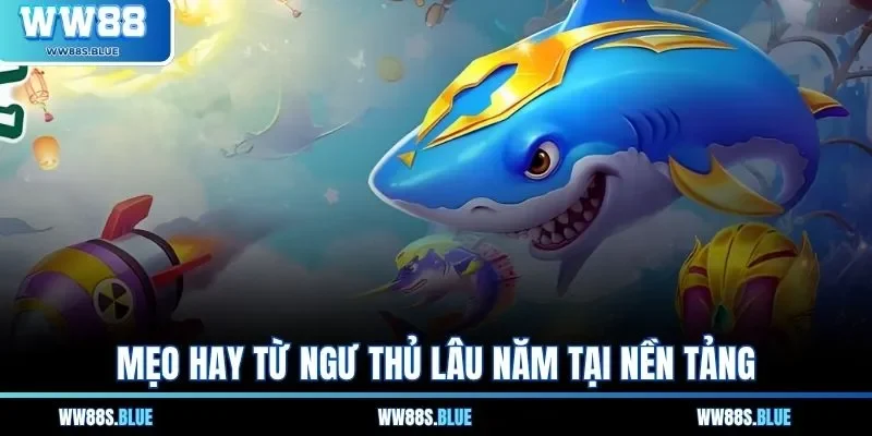 Mẹo hay từ ngư thủ lâu năm tại nền tảng